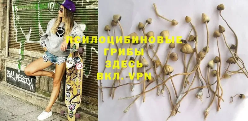 Псилоцибиновые грибы Magic Shrooms  Нюрба 